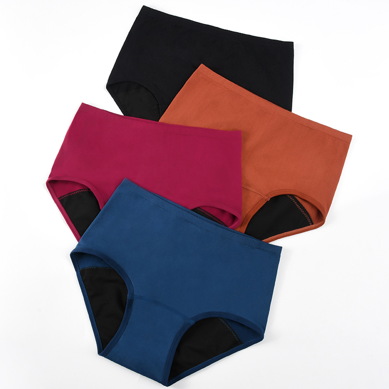Women’s Seamless Period Pantie - Period Panty Absorbent บทวิจารณ์และราคา